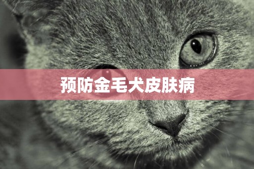 預防金毛犬皮膚病