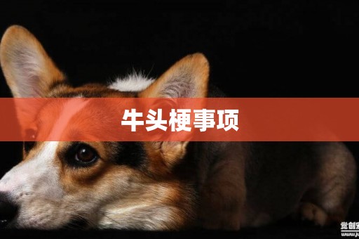 牛頭梗事項