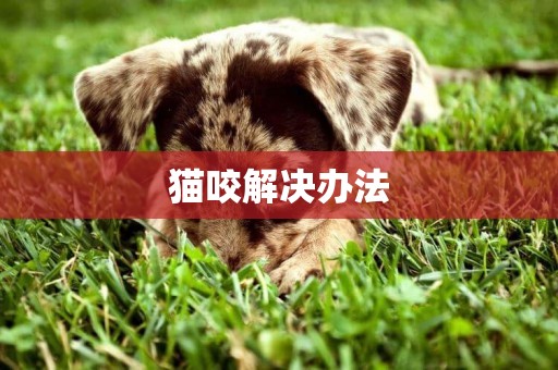 貓咬解決辦法