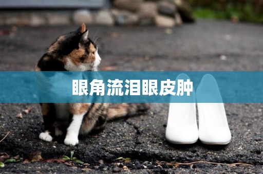 眼角流淚眼皮腫