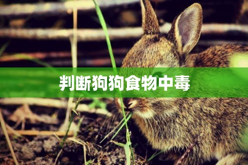 判斷狗狗食物中毒