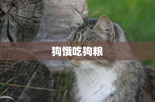 狗餓吃狗糧