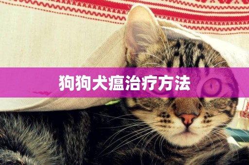 狗狗犬瘟治療方法