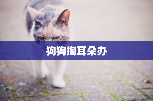 狗狗掏耳朵辦