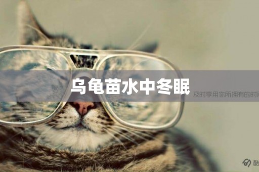 烏龜苗水中冬眠