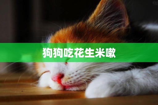 狗狗吃花生米嗽