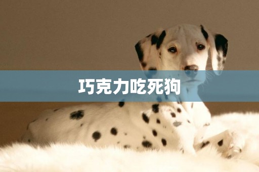 巧克力吃死狗