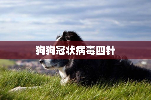 狗狗冠狀病毒四針