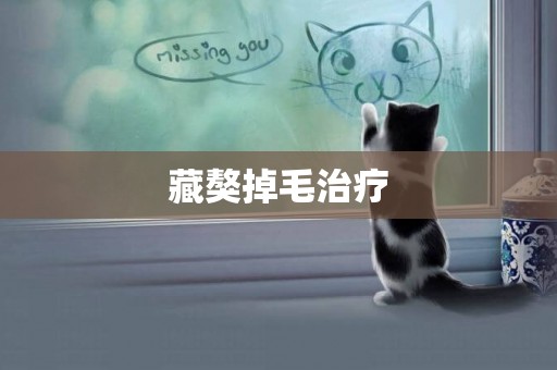 藏獒掉毛治療