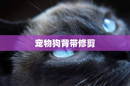 寵物狗背帶修剪