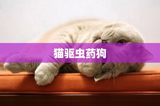 貓驅蟲藥狗