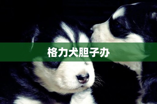 格力犬膽子辦