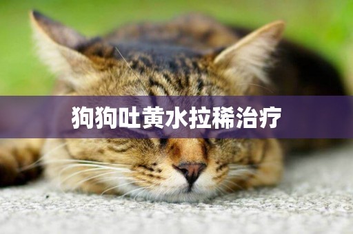 狗狗吐黃水拉稀治療