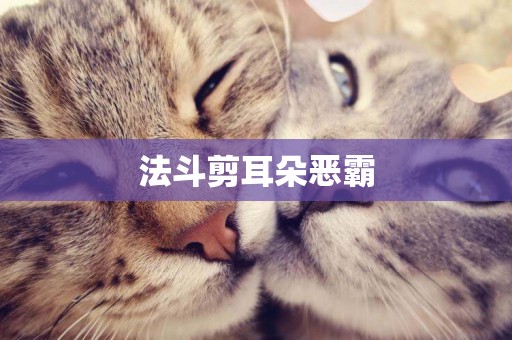 法斗剪耳朵惡霸