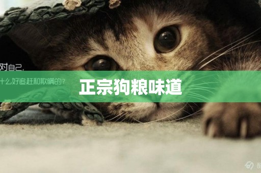 正宗狗糧味道