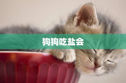狗狗吃鹽會