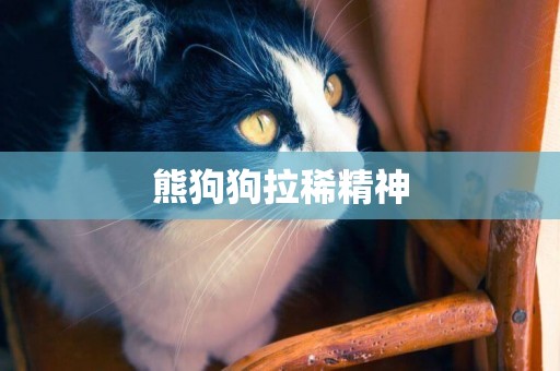 熊狗狗拉稀精神