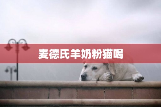 麥德氏羊奶粉貓喝