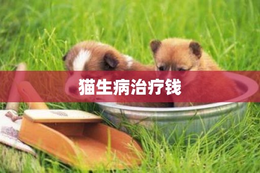 貓生病治療錢