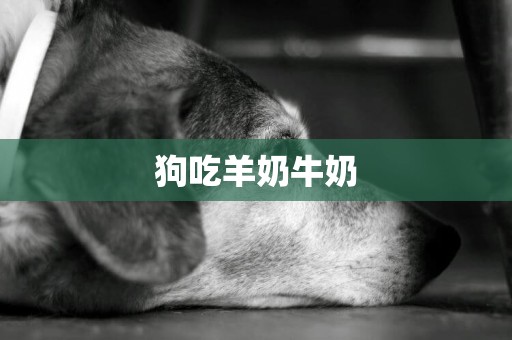 狗吃羊奶牛奶