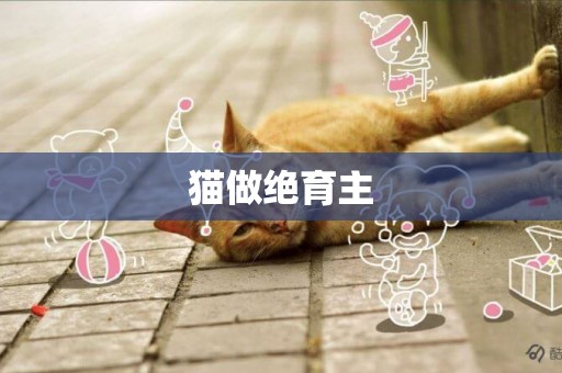 貓做絕育主