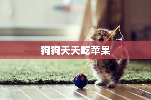 狗狗天天吃蘋果