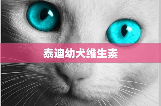 泰迪幼犬維生素