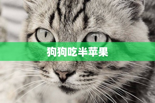 狗狗吃半蘋果