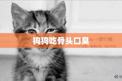 狗狗吃骨頭口臭