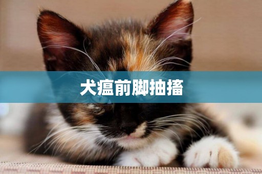 犬瘟前腳抽搐