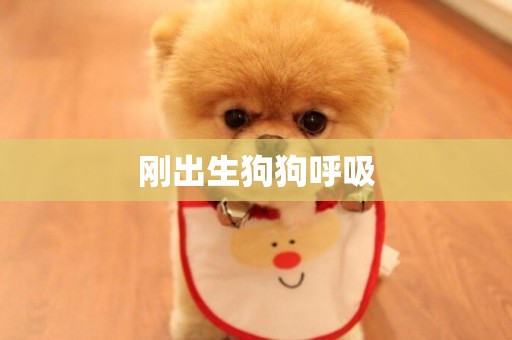 剛出生狗狗呼吸