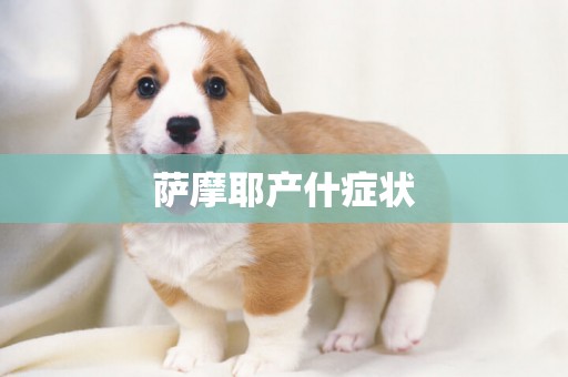 薩摩耶產什癥狀