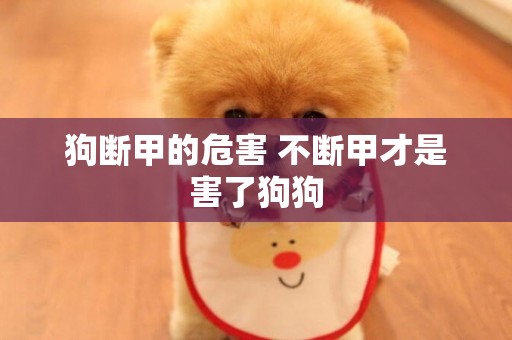 狗斷甲的危害 不斷甲才是害了狗狗