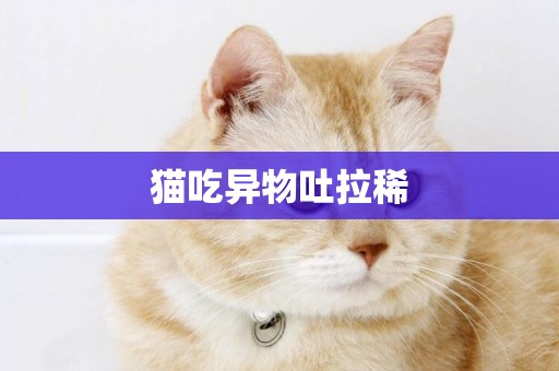 貓吃異物吐拉稀