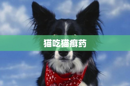貓吃貓癬藥