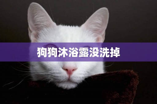 狗狗沐浴露沒洗掉