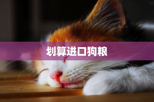 劃算進口狗糧