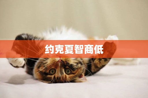 約克夏智商低