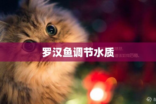 羅漢魚調節水質
