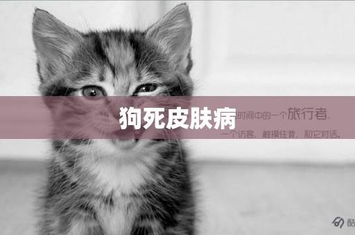狗死皮膚病