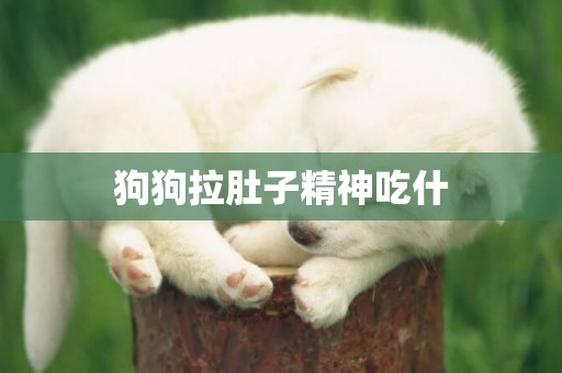 狗狗拉肚子精神吃什