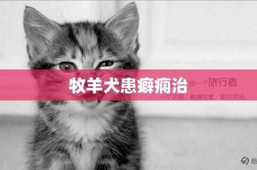 牧羊犬患癖癇治