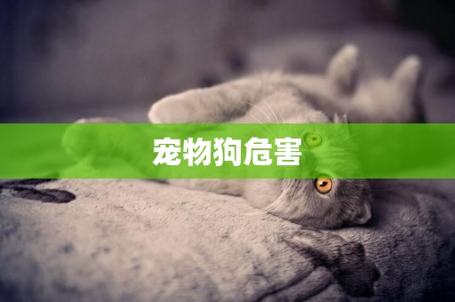 寵物狗危害