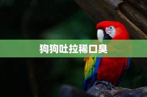 狗狗吐拉稀口臭