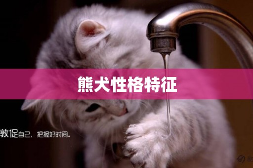 熊犬性格特征
