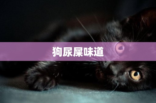 狗尿屎味道
