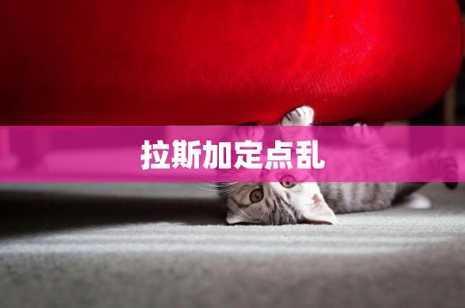 拉斯加定點亂