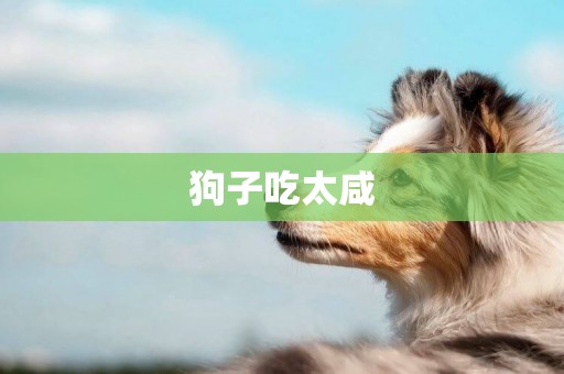 狗子吃太咸