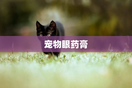 寵物眼藥膏