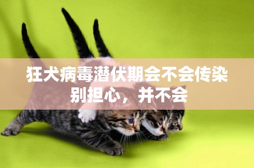 狂犬病毒潛伏期會不會傳染 別擔心，并不會